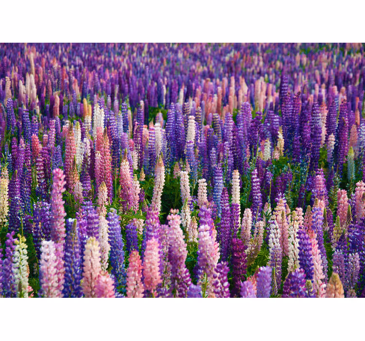 Bloemen foto behang lush paarse bloesems - TenStickers