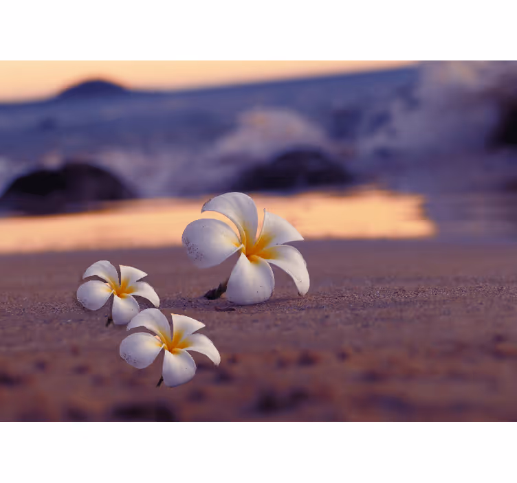 Fotobehang klaprozen tropisch bloemen trio - TenStickers