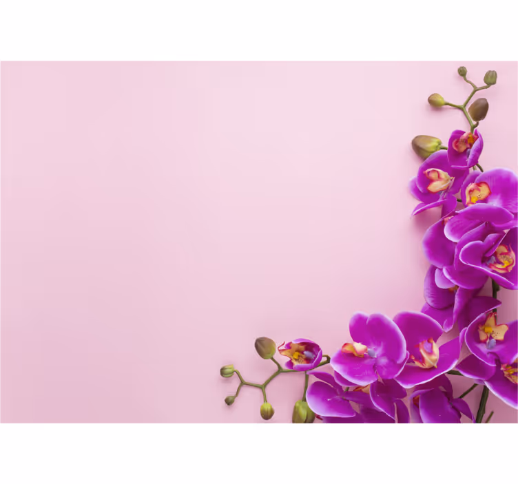 Fotobehang orchideeën bloemstuk - TenStickers