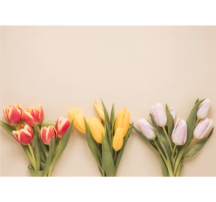 Bloemen foto behang kleurrijke tulpenarrangement - TenStickers