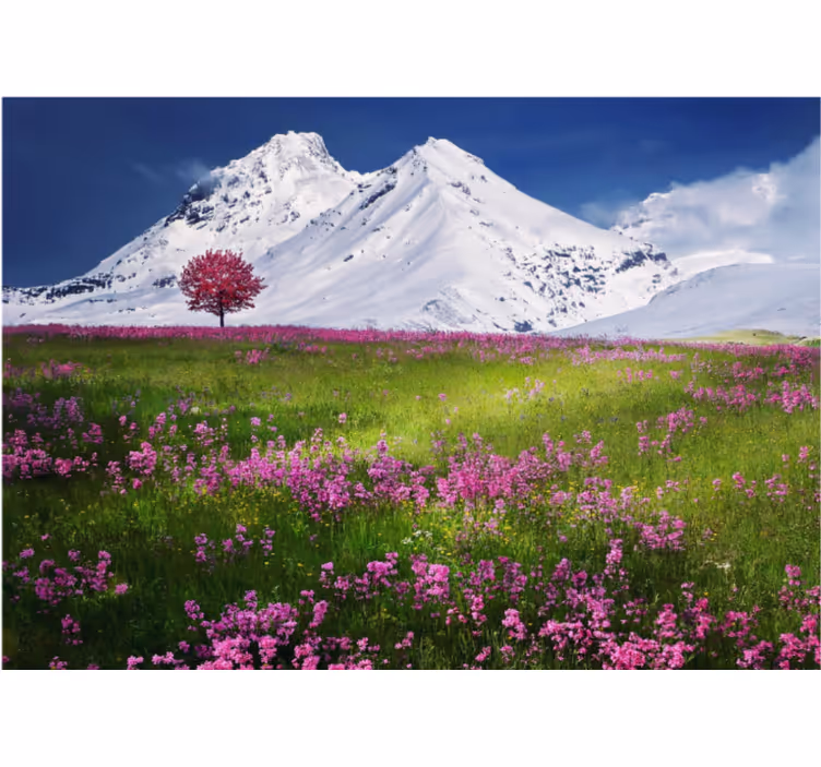 Fototapet landschap bergweide uitzicht - TenStickers