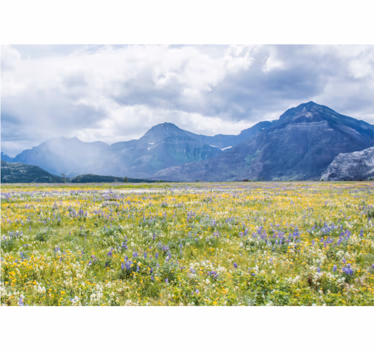 Fototapet landschap bergbloemenveld - TenStickers