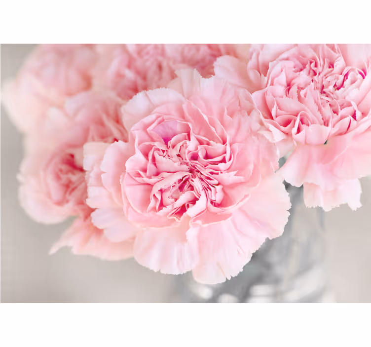 Bloemen foto behang prachtige roze bloesems - TenStickers