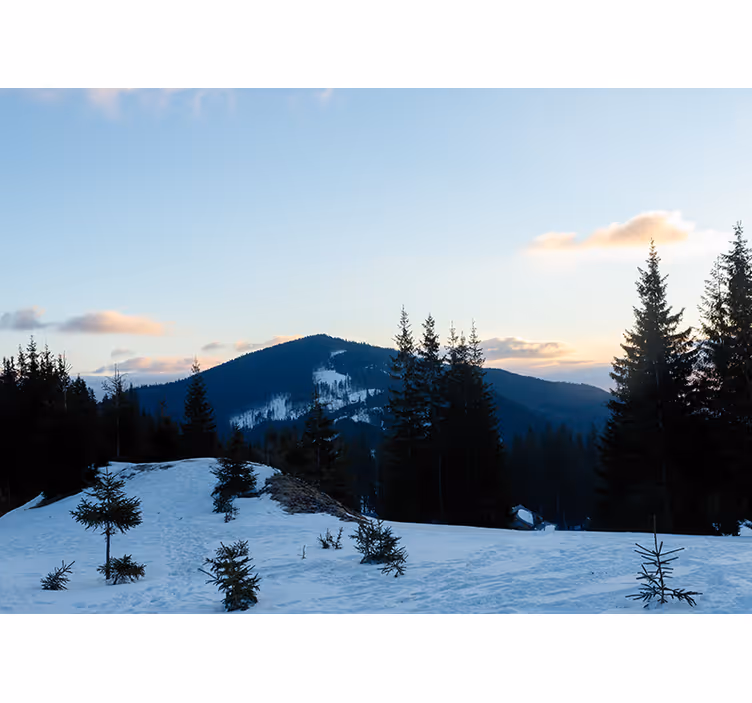 Fotobehang bergen frosty summit landschap - TenStickers