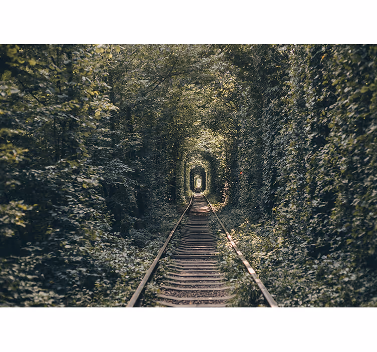 Fototapet landschap spoortunnel natuur - TenStickers