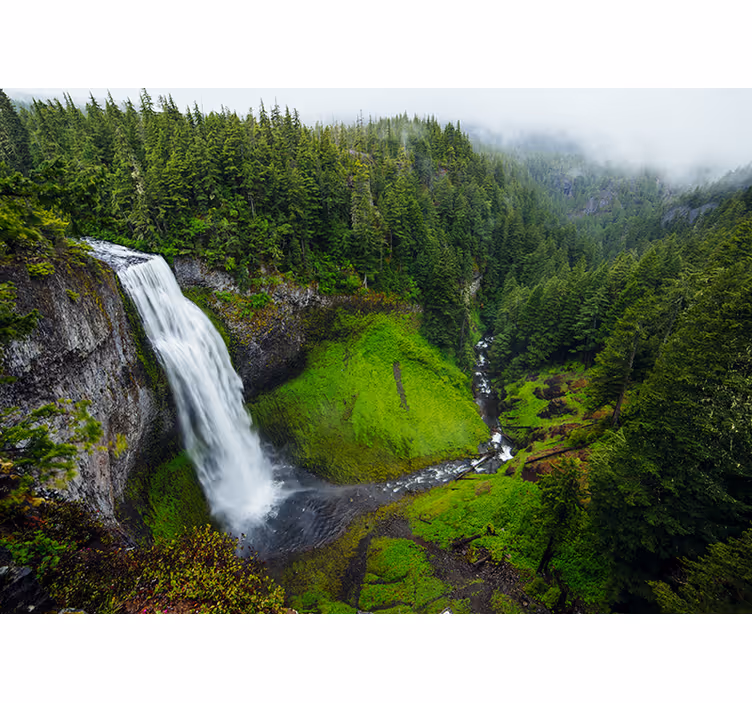 Fotobehang natuur waterval in weelderig groen - TenStickers
