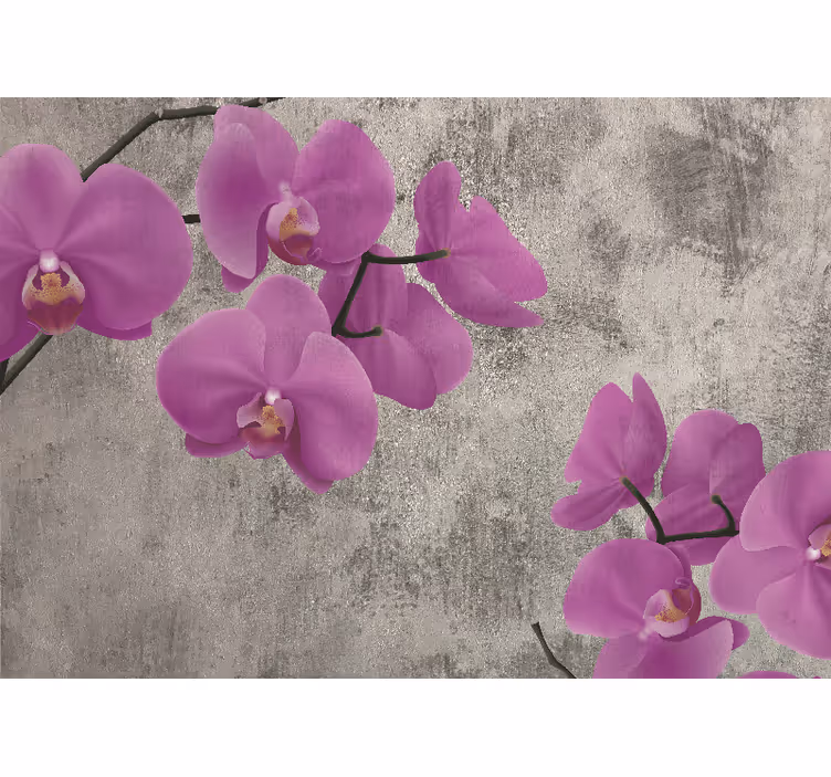 Bloemen foto behang rozenorchideeën bloesems - TenStickers