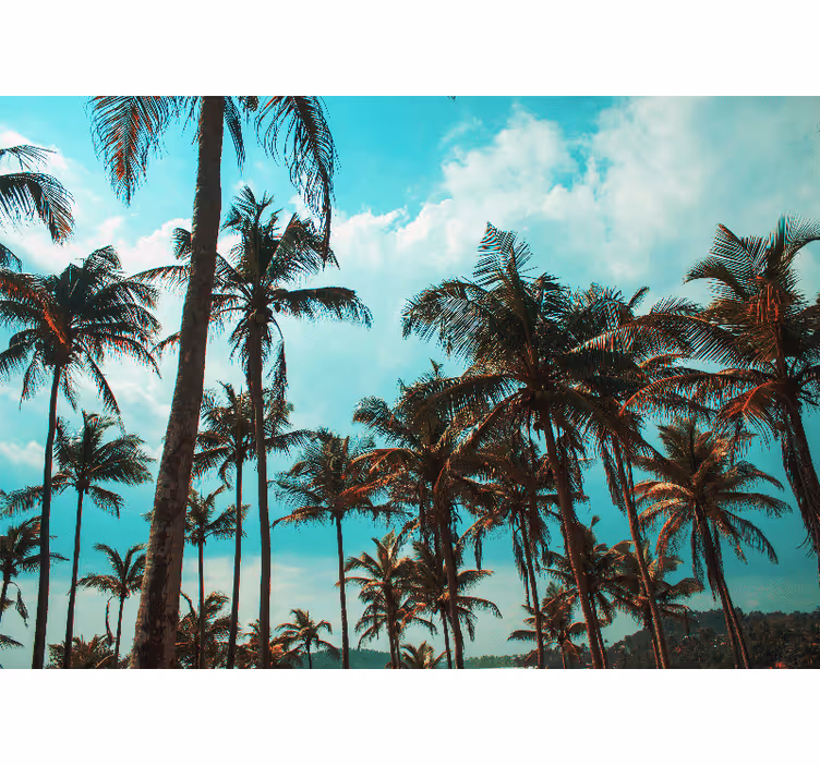 Fotobehang natuur palm trees paradijs - TenStickers