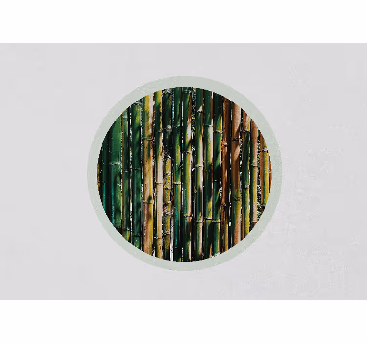 3d behang groene bamboebos - TenStickers