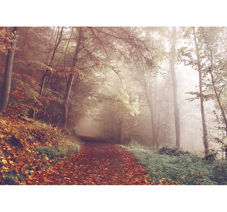 Foto behang bos herfstpad landschap - TenStickers