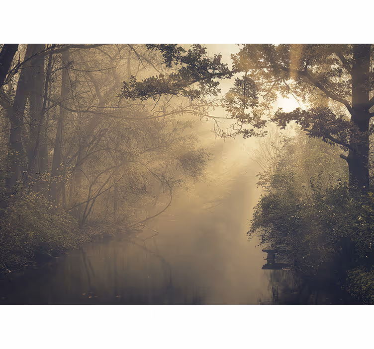 Natuur behang stralend boslandschap - TenStickers