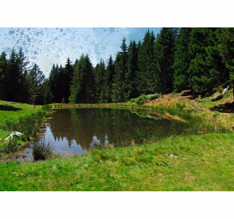 Fototapet landschap rustige bosuitzicht - TenStickers