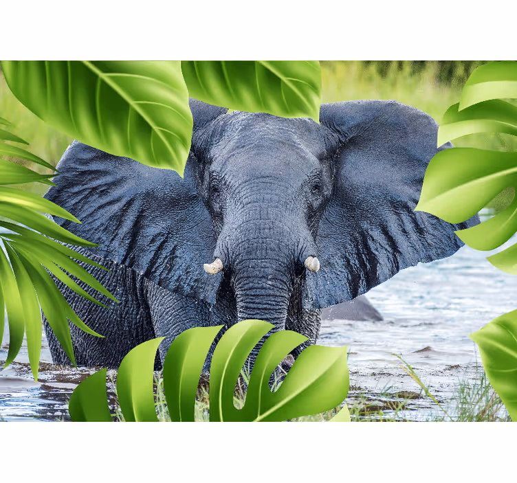 Foto behang dieren koninklijke olifantenervaring - TenStickers