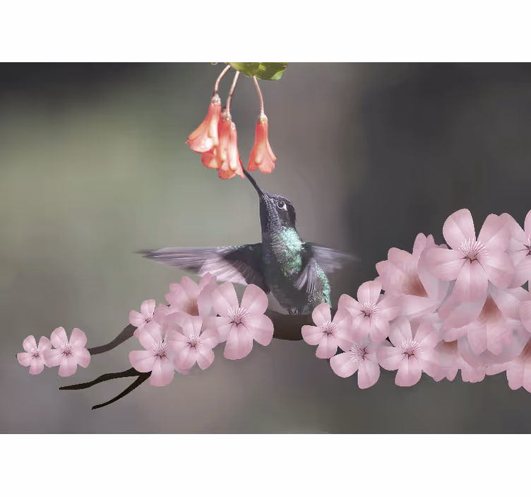 Foto behang dieren kolibrie en bloemen - TenStickers