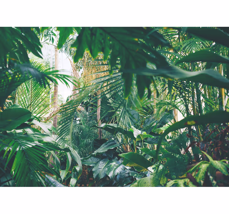 Foto behang jungle weelderige tropische oase - TenStickers