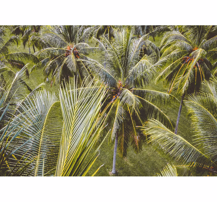 Fotobehang natuur lush palmbladeren - TenStickers