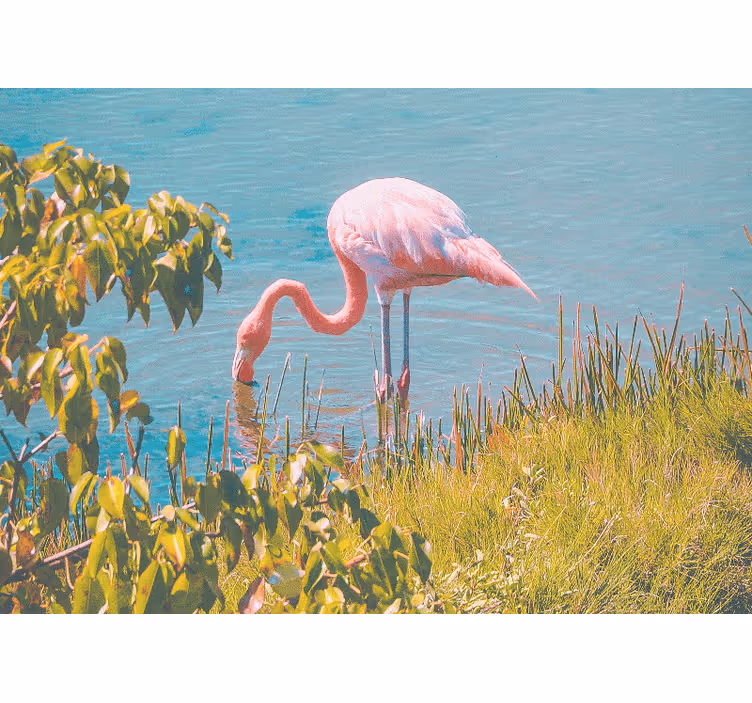 Roze flamingo sereniteit foto behang dieren - TenStickers