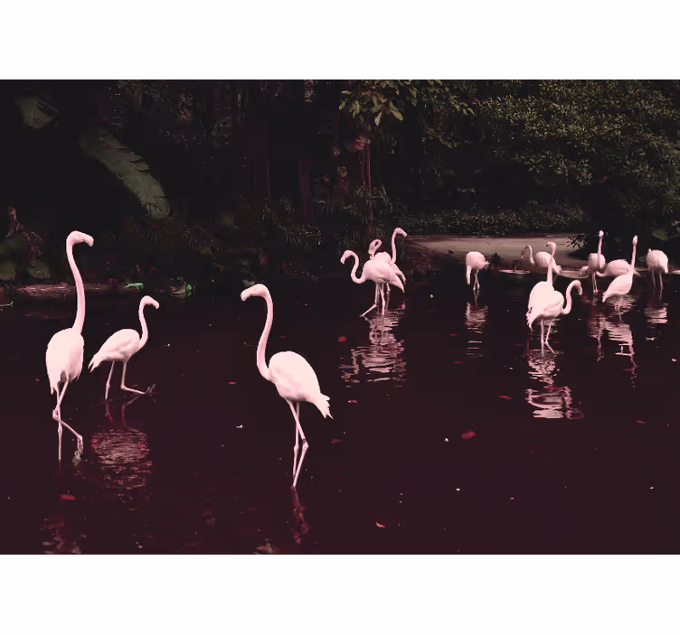 Fotobehang werkkamer elegante flamingo's groep - TenStickers