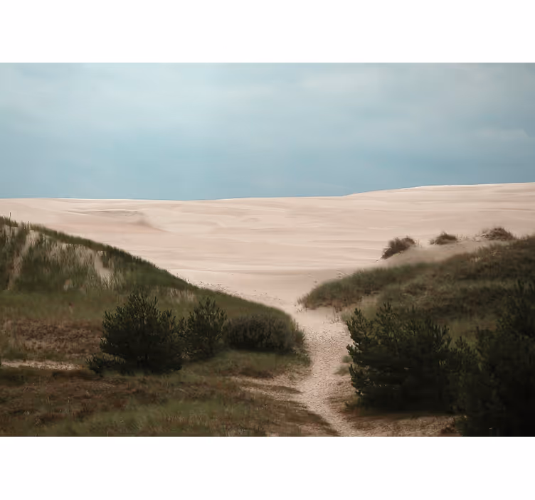 Fototapet landschap zandduinen pad - TenStickers