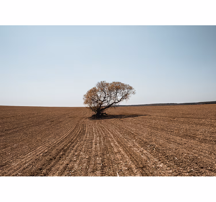 Fotobehang natuur eenzame boom landschap - TenStickers