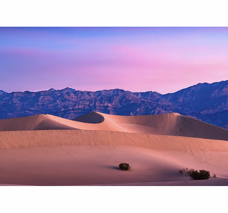 Fotobehang woestijn golden dunes landschap - TenStickers