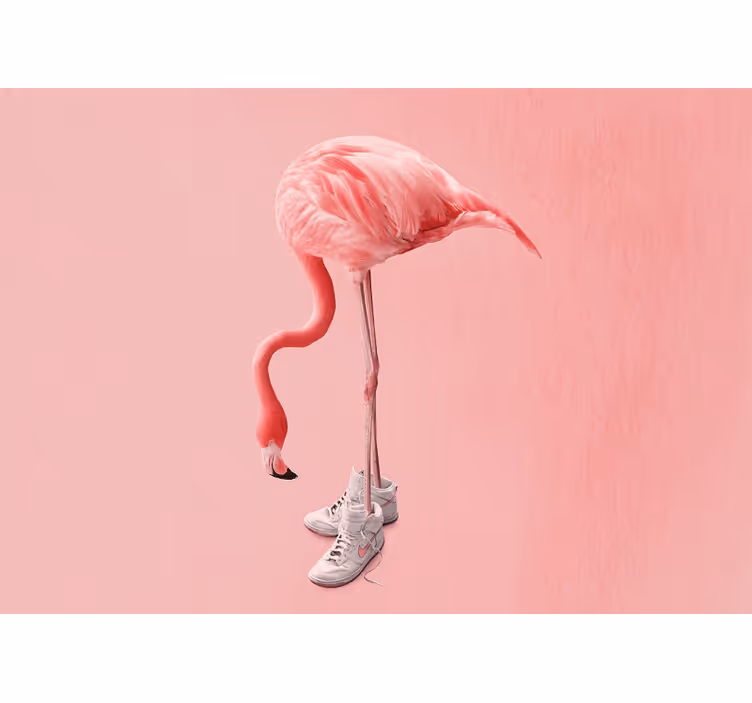 Fotobehang verschillende dieren flamingo in sneakers - TenStickers