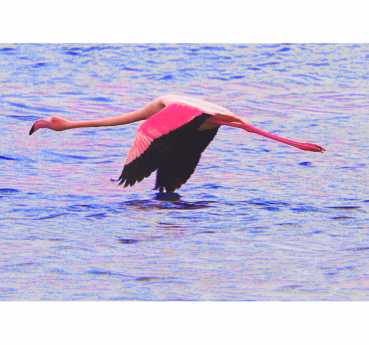 Flamingo in vlucht fotobehang verschillende dieren - TenStickers