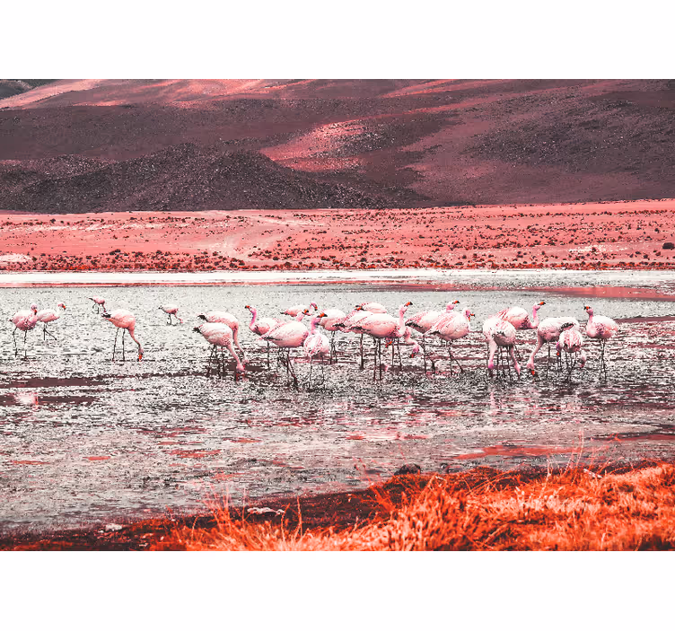 Fotobehang verschillende dieren flamingo habitat scène - TenStickers