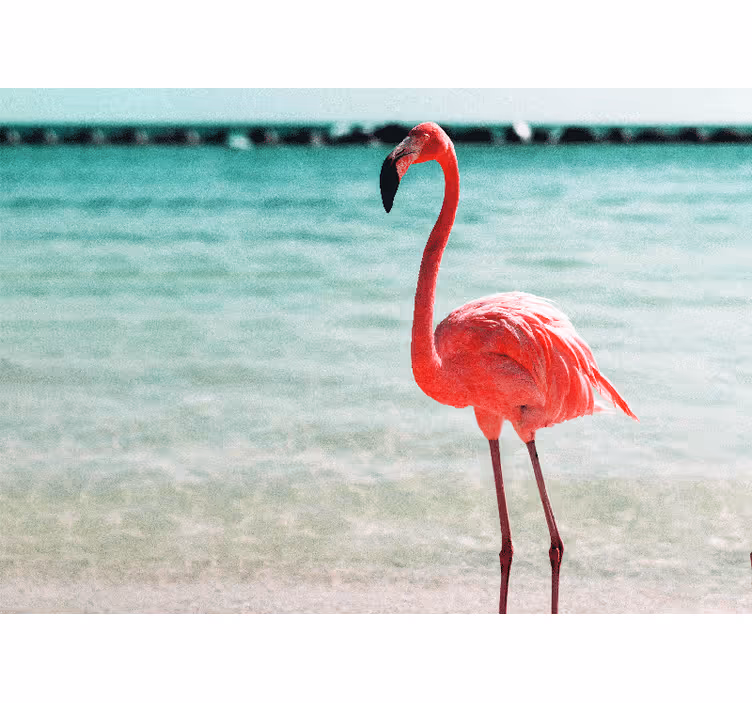 Foto behang dieren elegante flamingo houding - TenStickers