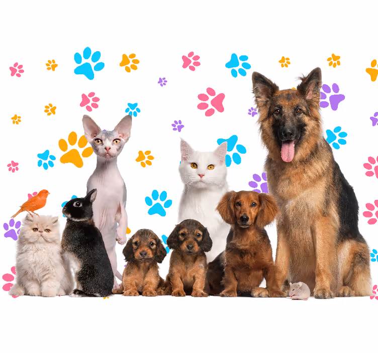 Foto behang dieren gelukkige huisdieren compagnons - TenStickers