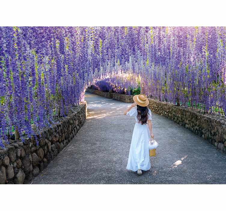 Bloemen foto behang wisteria bloesem pad - TenStickers