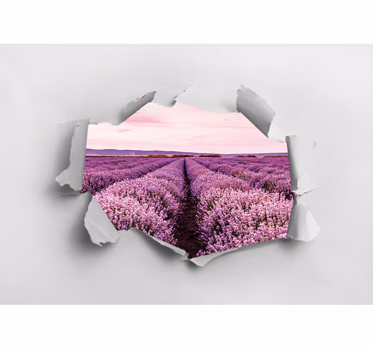 Bloemen foto behang lavendelveld uitzicht - TenStickers
