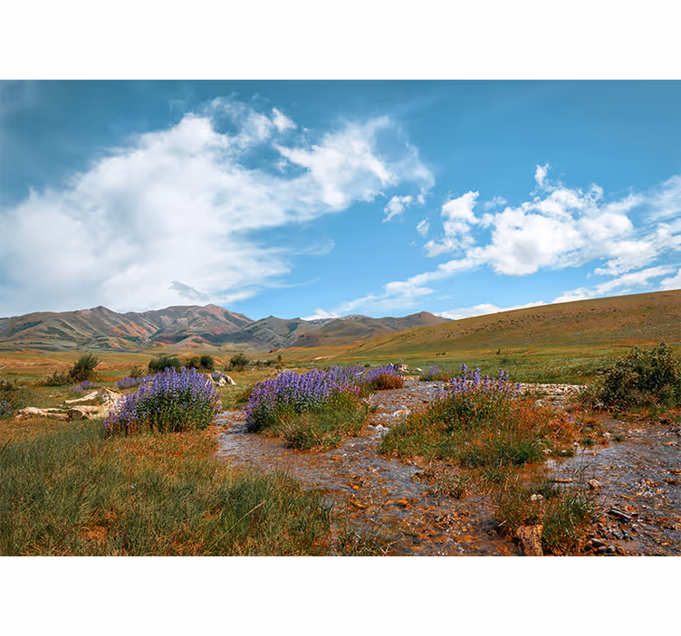 Fotobehang natuur uitgestrekt berglandschap - TenStickers
