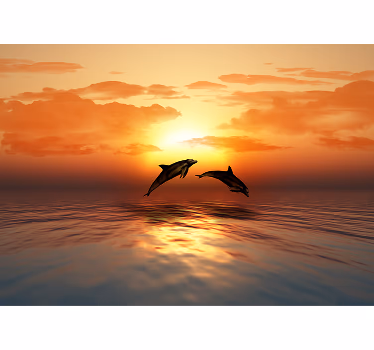 Dolfijnen springen zonsondergang foto behang dieren - TenStickers