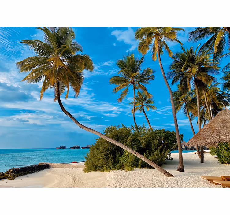 Fotobehang natuur tropisch palm landschap - TenStickers