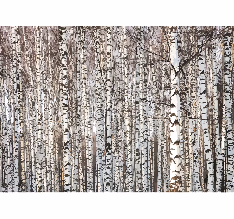 Foto behang bomen berkenboomwoud - TenStickers