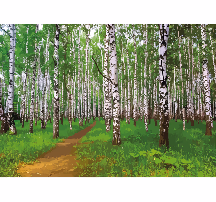 Fotobehang natuur berkenbos pad - TenStickers