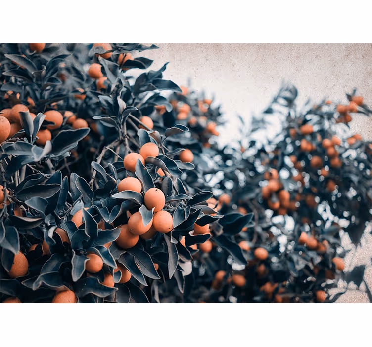 Bloemen foto behang citrusvruchten tak - TenStickers