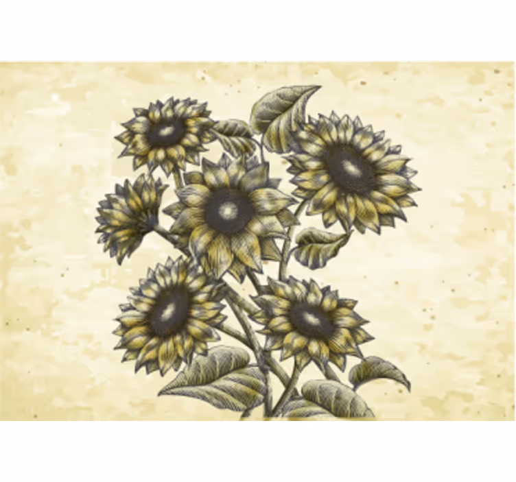 Bloemen foto behang zonnebloem bloemcompositie - TenStickers