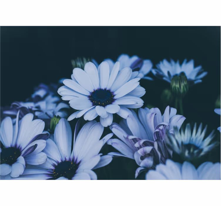 Bloemen foto behang serene bloemenarrangement - TenStickers