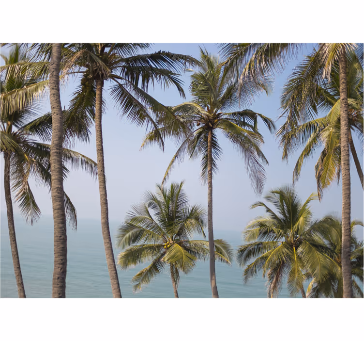 Natuur behang palmbomen landschap - TenStickers