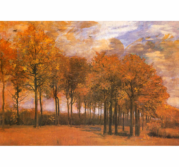 Fototapet landschap herfstboslandschap - TenStickers