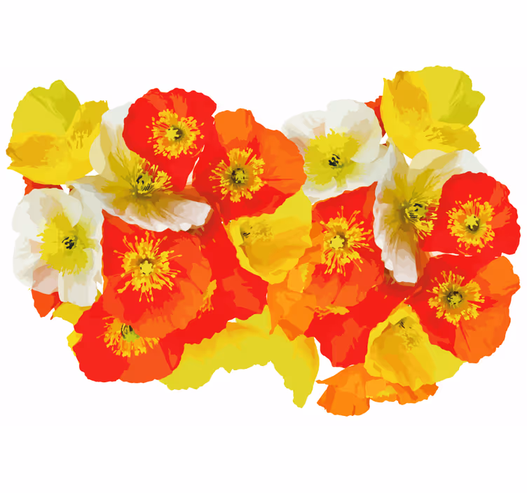 Bloemen foto behang poppy flower compositie - TenStickers