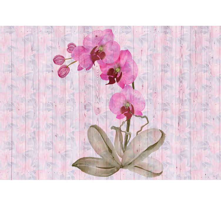 Bloemen foto behang roze orchideeën bloesem - TenStickers