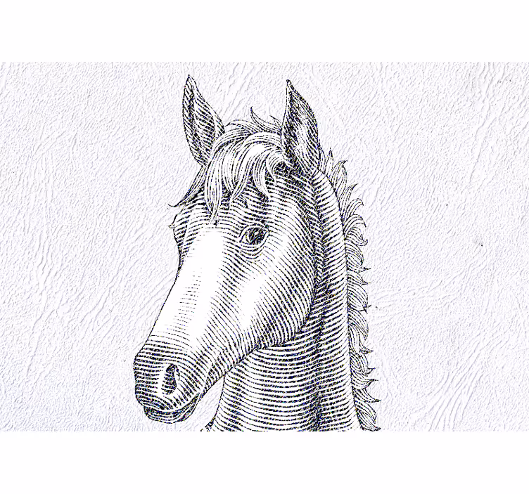 Foto behang dieren elegant paardenportret - TenStickers