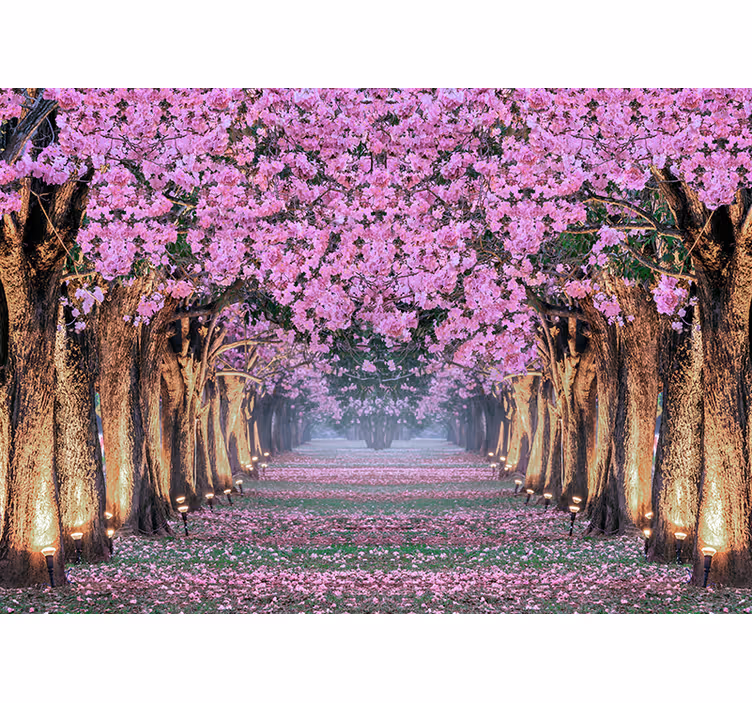 Bloemen foto behang kersenbloesempad - TenStickers