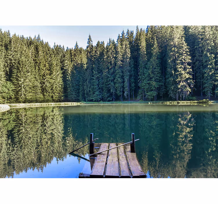 Fotobehang natuur rustige bosreflectie - TenStickers