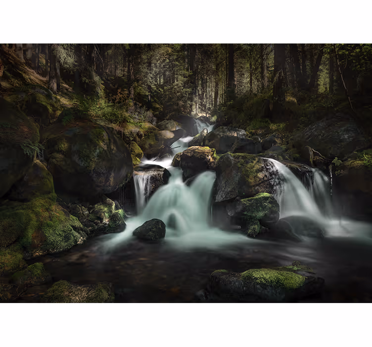 Foto behang waterval rustieke bosbeek - TenStickers