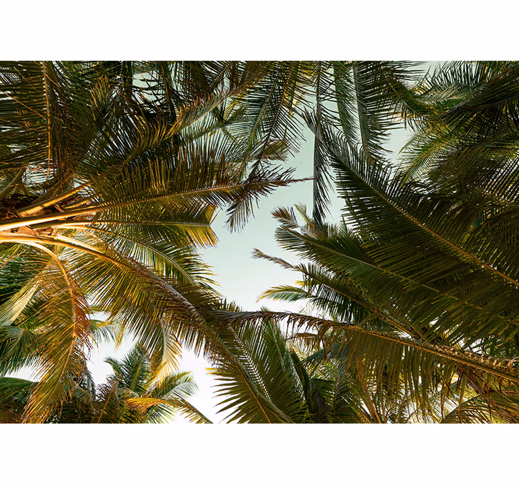 Fotobehang natuur tropische palmendak - TenStickers