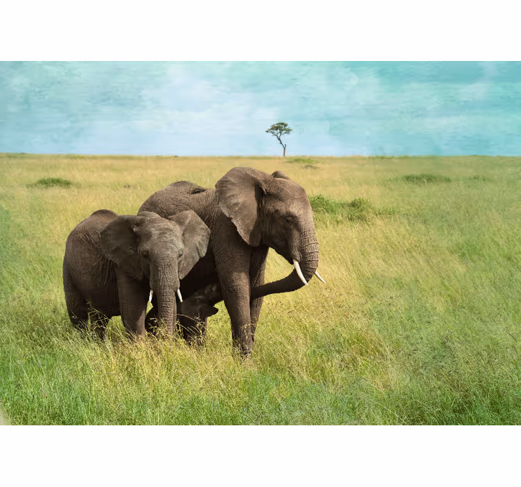 Foto behang dieren olifanten in grasland - TenStickers